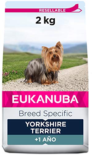 EUKANUBA Breed Specific Alimento seco para perros yorkshire terrier adultos, alimento para perros Ã³ptimamente adaptado a la raza 2 kg
