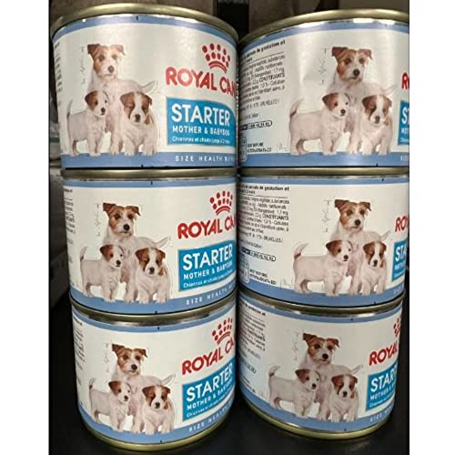 Royal Canin Mother & Baby Mousse de Inicio Alimento Completo para Perros, 12 x 195 g